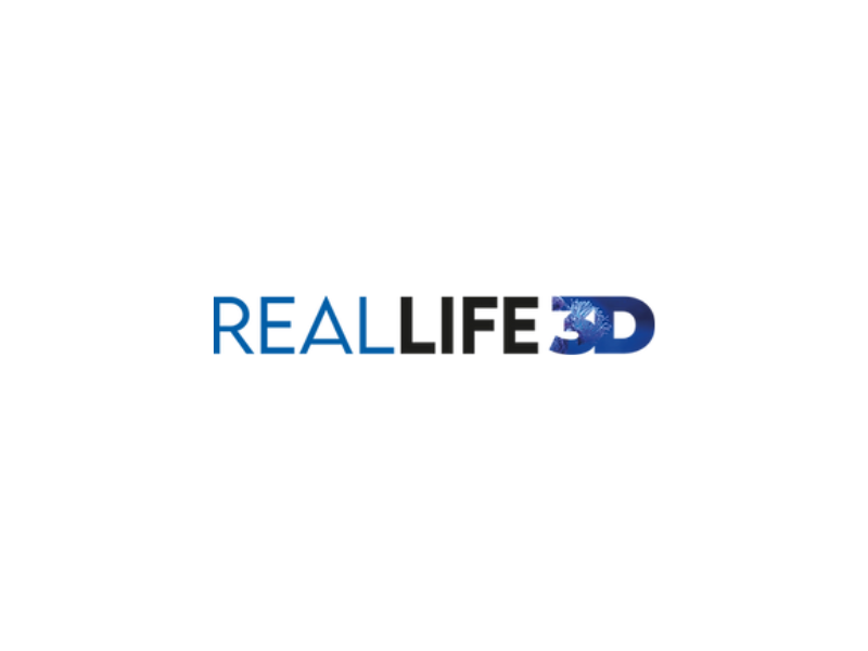 Real Life 3D