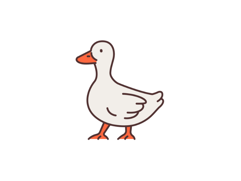 Design Ducky