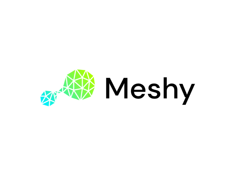 Meshy